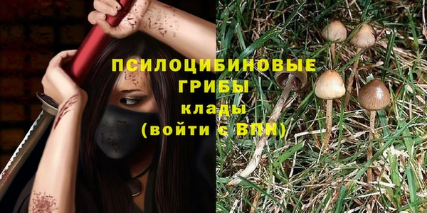 спиды Нягань